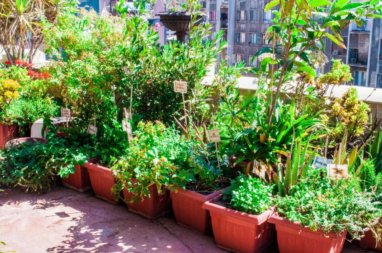 Hostel Casaltura Сантьяго Екстер'єр фото